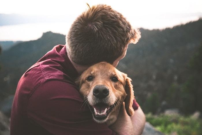 Aile Bireylerini Tanıyan Köpeklerin Tarihi